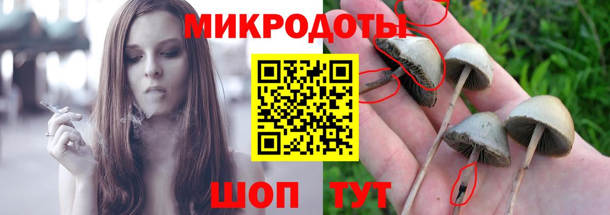 Псилоцибиновые грибы MAGIC MUSHROOMS Урай